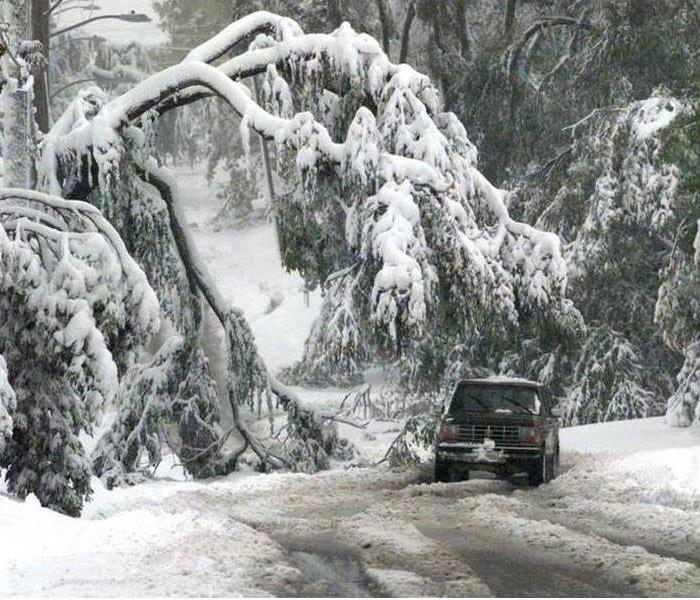 A tree branch laden with snow fallen over on a car in the middle of the road. 